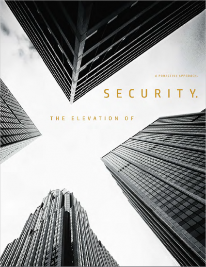 The Elevation of Security. A Proactive Approach.